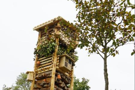 Lebensturm Mettmenstetten