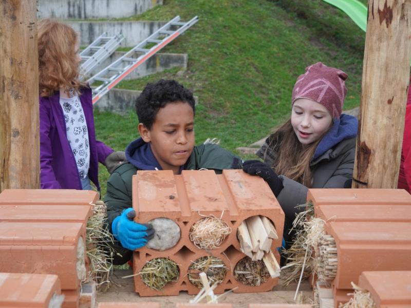 Lebensturm Schule Sursee Februar 2024
