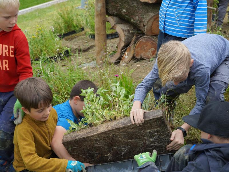 Lebensturm Schule Rain Mai 2024 (12).JPG