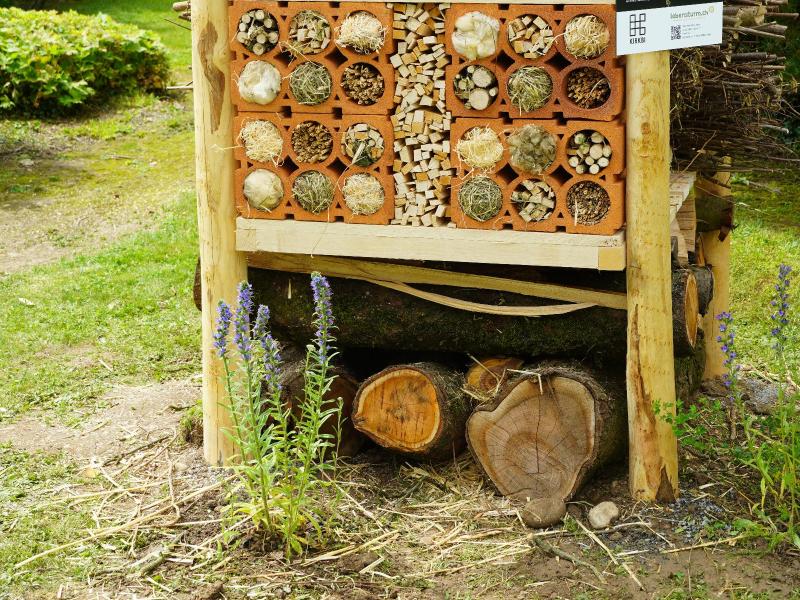 Lebensturm KIRKBI Rappi Juni 2024