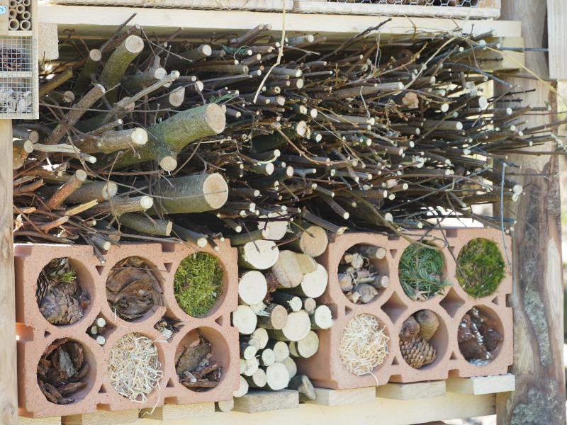 Lebensturm Schule Dietwil April 2025 