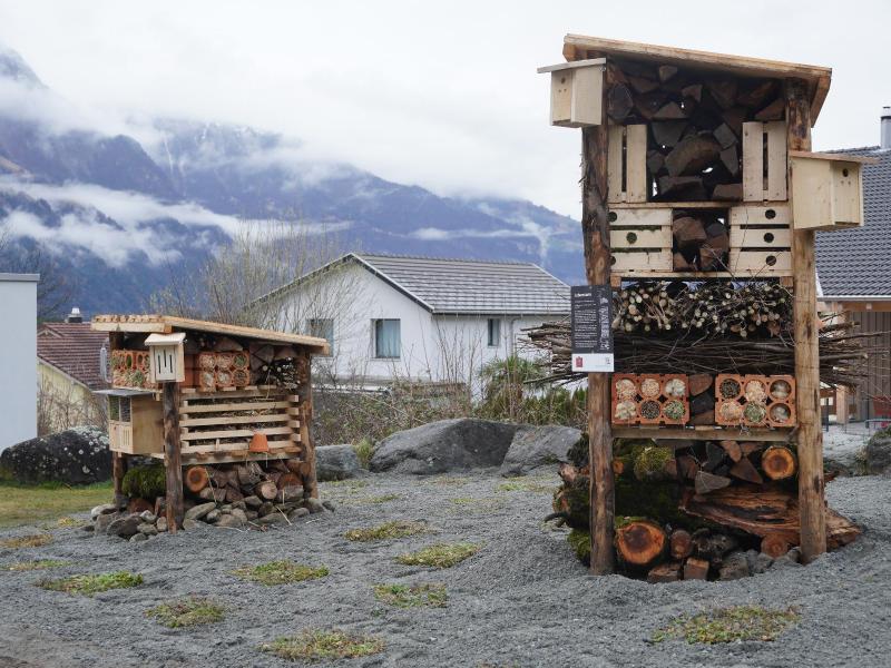Lebensturm Schattdorf März 2024