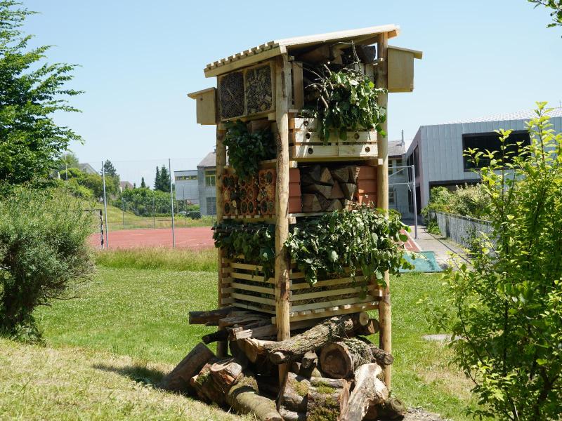 Lebesturm Schule Gaiserwald Juni 2025
