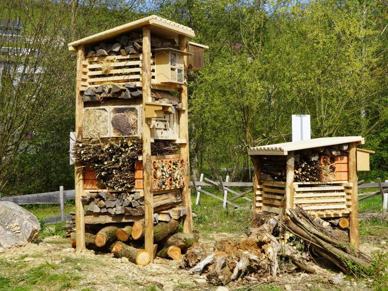 Lebensturm Emmentalversicherung Huttwil April 2024 