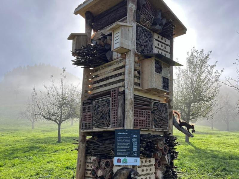 Lebensturm Schule Finstersee