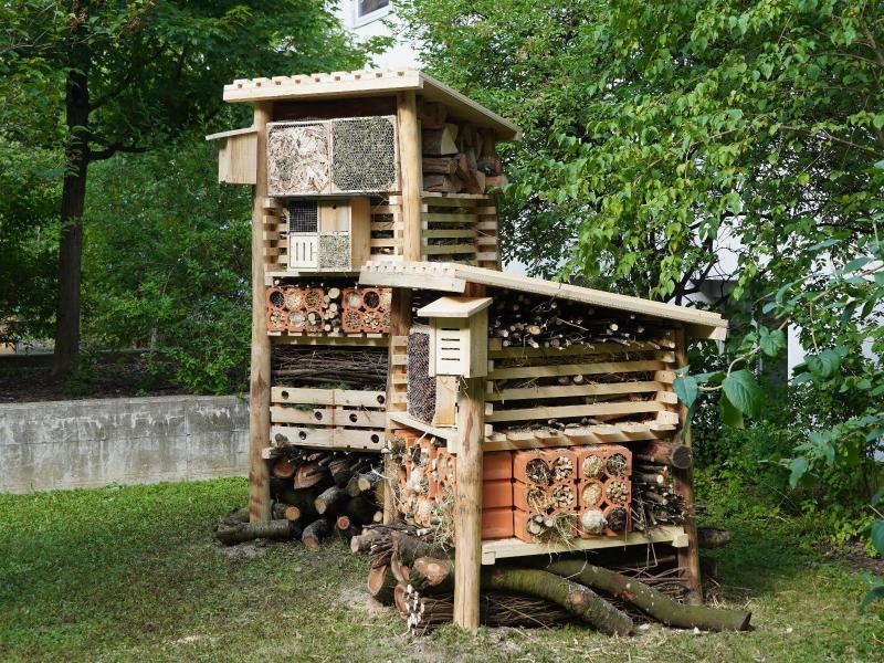 Lebensturm Röntgenhof Zürich Juli 2025