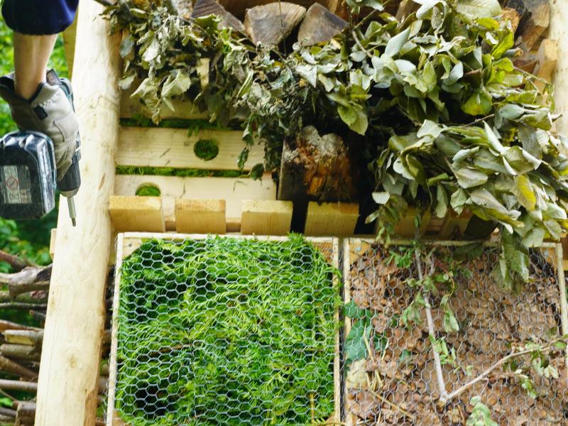 Lebensturm Hochdorf Juni 2024