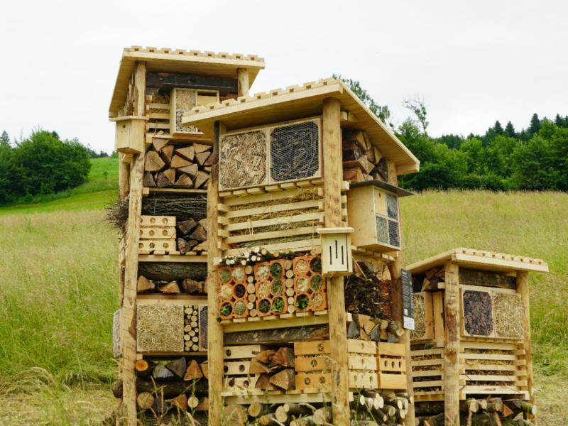 Lebensturm Gemeinde Gisikon Mai 2025 