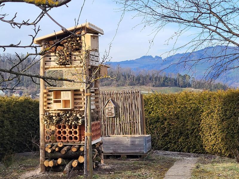 Lebensturm Fam. Schnyder Spiez Februar 2025