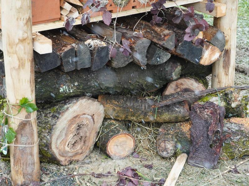 Lebensturm Emmentalversicherung Reconvillier April  2024