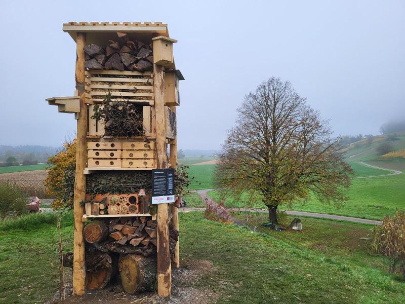 Lebensturm Schule Landbüel