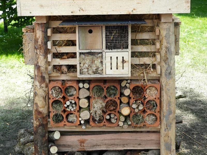 Lebensturm Camping Bad-Ragaz Juni 2025