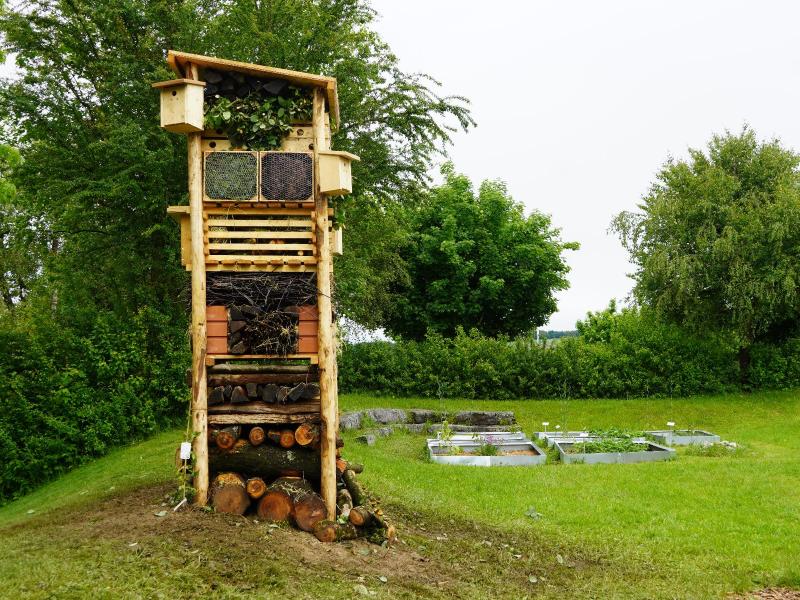 Lebenturm Schule Gunzwil Mai 2024
