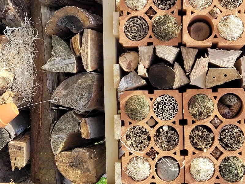 Lebensturm Unterhalt Nutzen