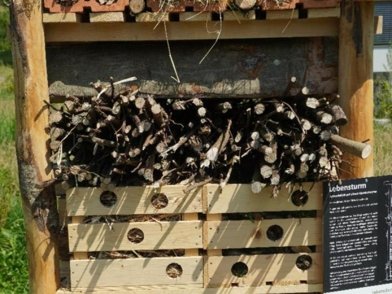 Lebensturm Ref. Kirche Meggen Adligenswil Udligenswil