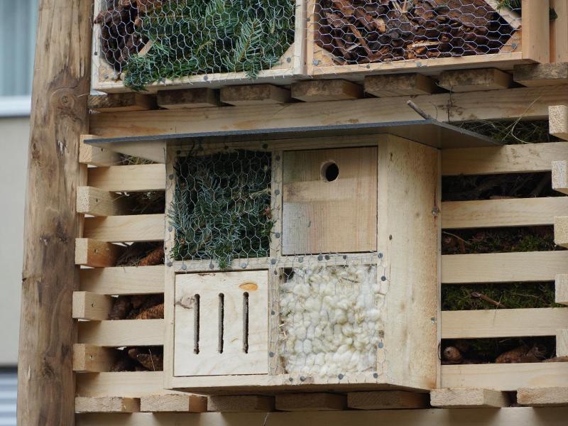 Lebensturm Villa Rosa Nebikon März 2025 