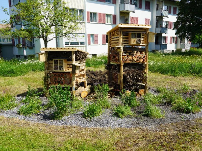 Lebenstrum Schwamendingen Mai 2023 (54).JPG