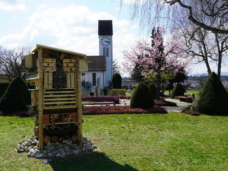 Lebensturm Schule Niederlenz April 2025 