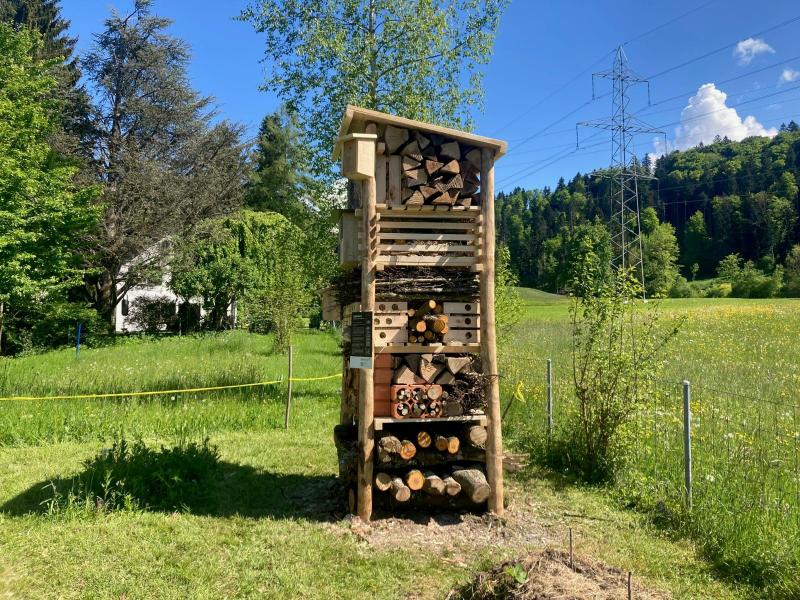 Lebensturm Fam. Faisst Bäretswil Mai 2025 