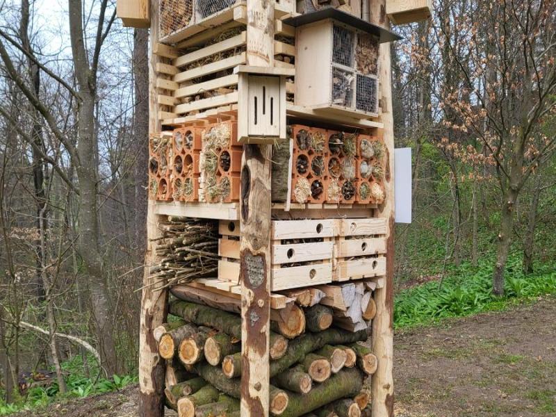 Lebensturm Abtwil Schulhaus Grund März 2026 