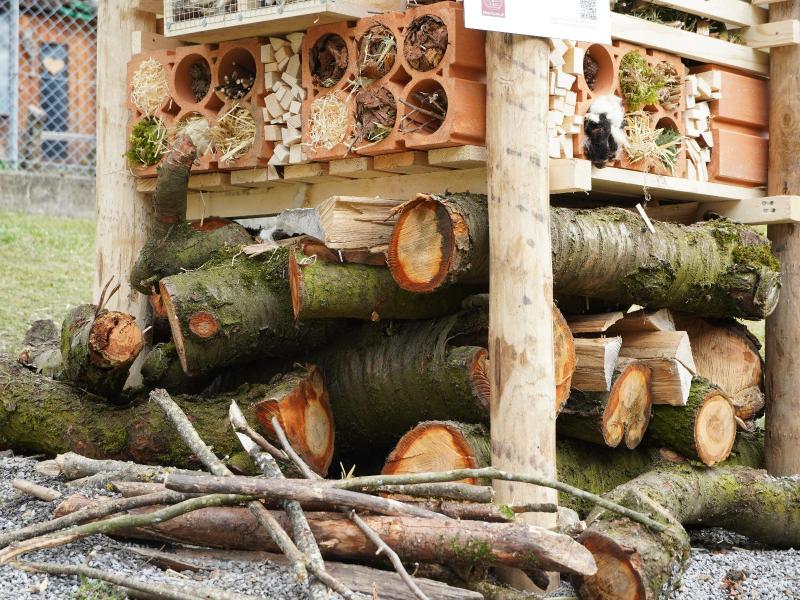 Lebensturm Schule Lauterbrunnen März 2024 