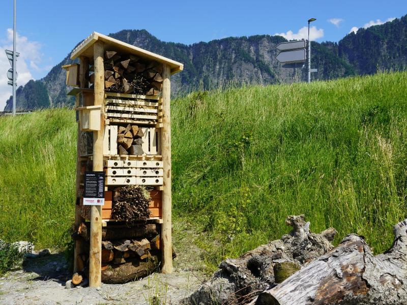 Lebensturm Emmentalversicherung Landquart Juni 2024