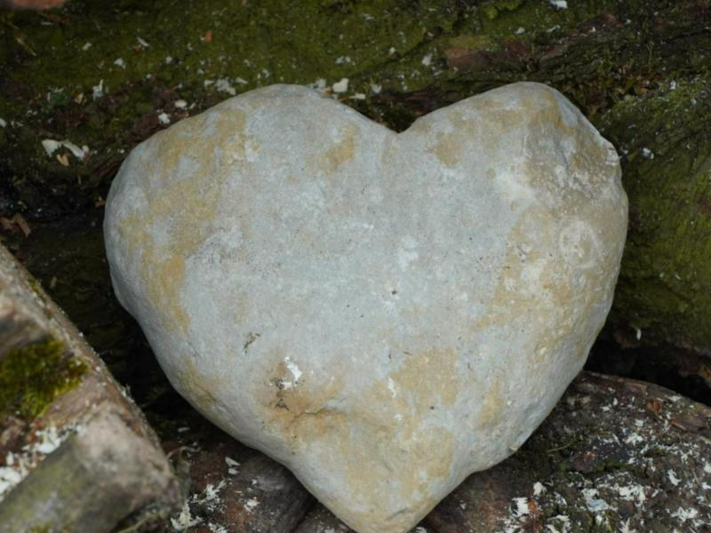 Lebensturm Kaltbrunn Alelino Juli 2024