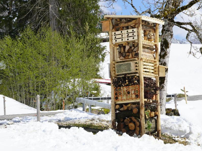 Lebensturm Emmentalvers. Eriz April  
