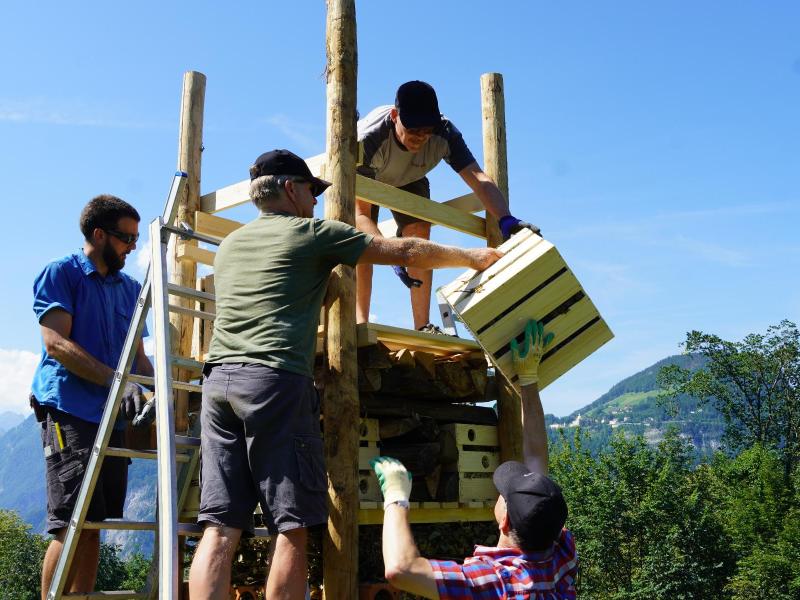 Lebensturm Mattli Antoniushaus