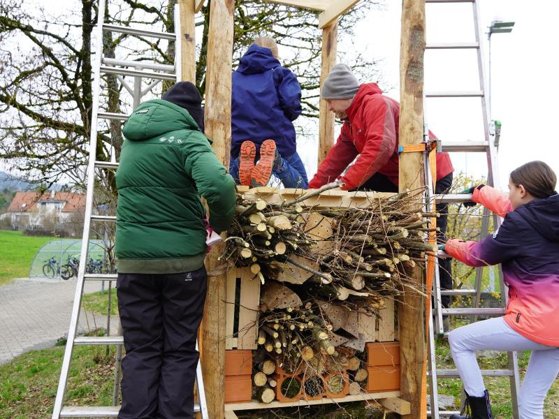 Lebensturm Egg März 2024
