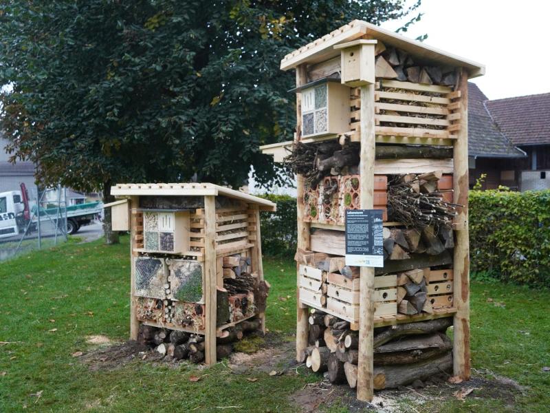 Lebensturm Unterhalt Kosten