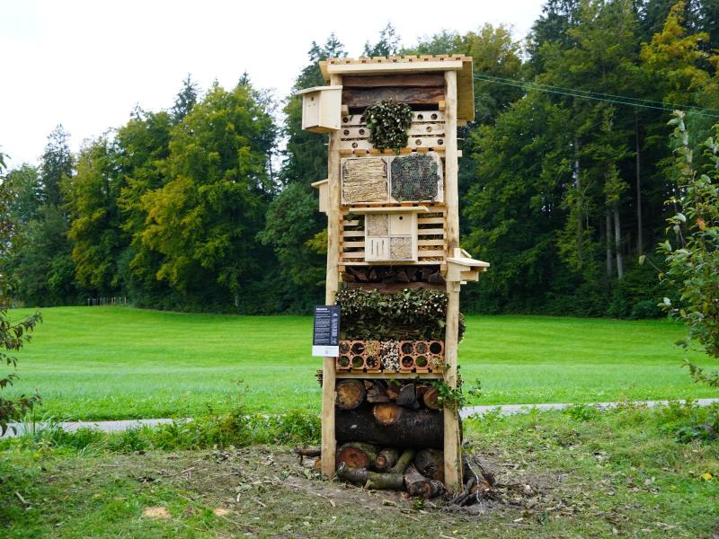 Lebensturm Tagesschule Birke