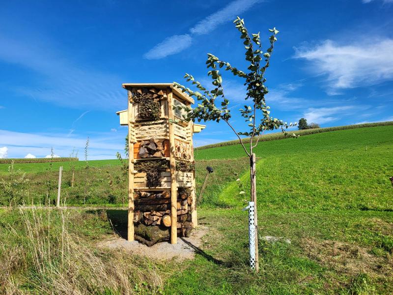 Lebensturm Hirsbrunner & Stöckli Immobilien