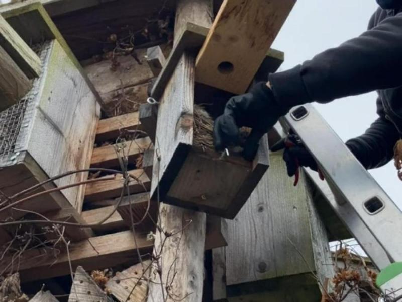 Lebensturm Unterhalt Dienstleistungen