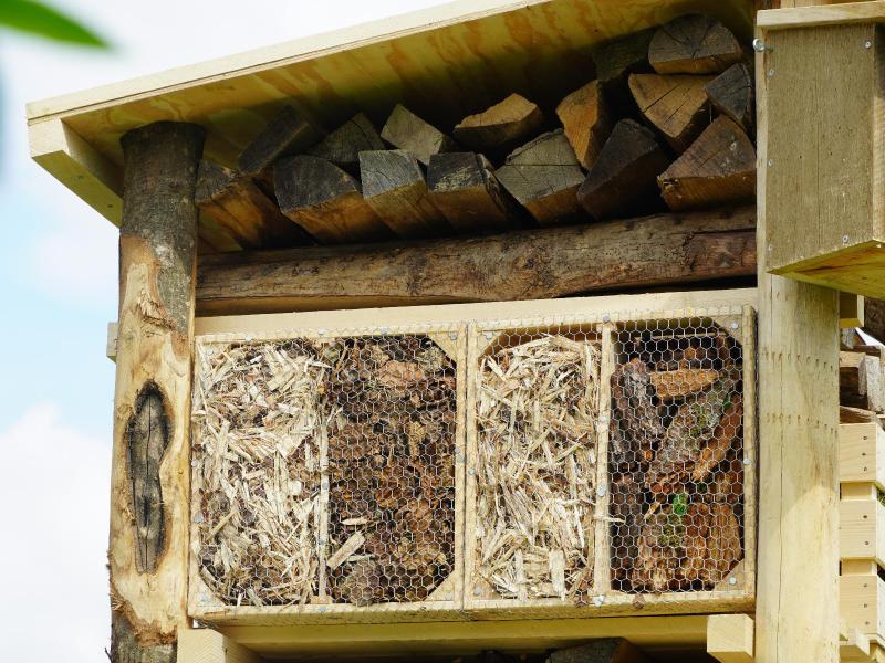 Lebensturm Schule Ruswil April 2024 (12).JPG