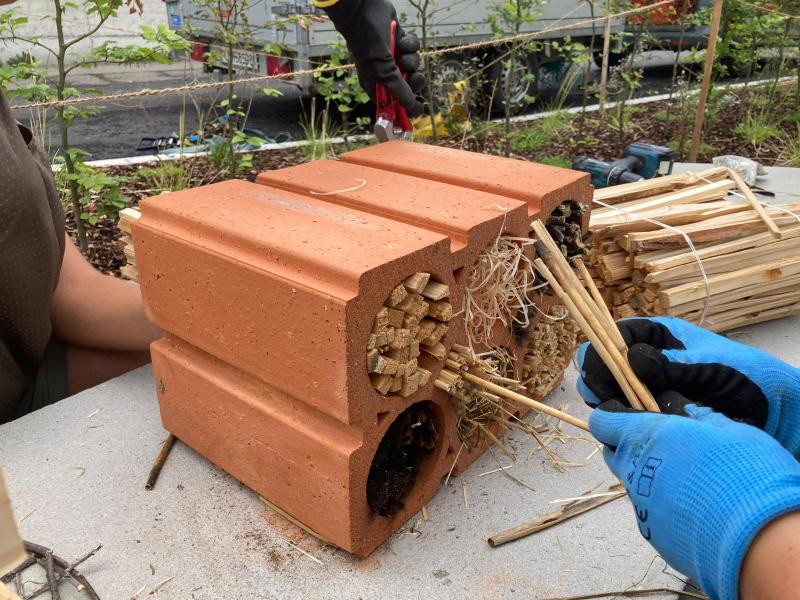 Lebensturm Schule Wohlen August 2024 (14).jpg