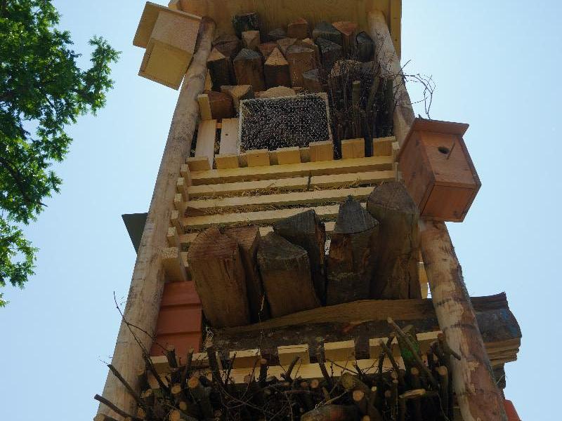 Lebensturm Basel Westfeld Juni 2025 