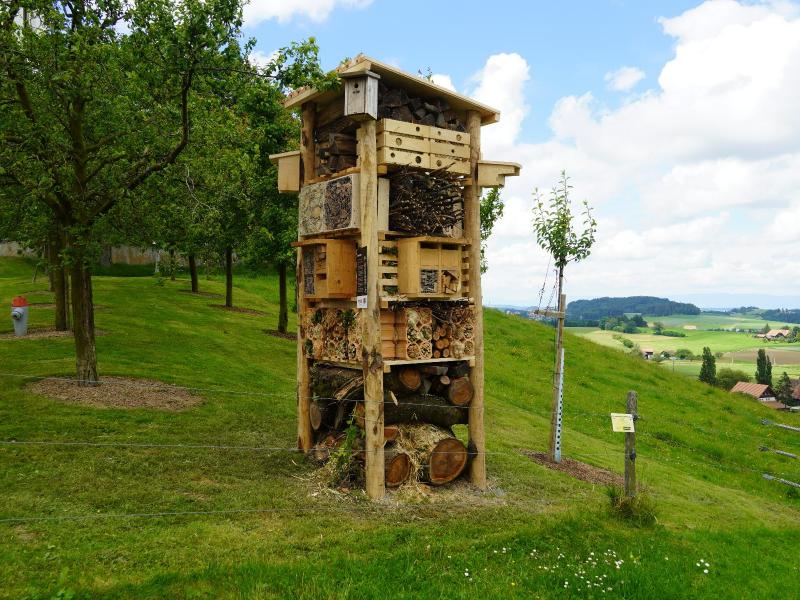 Lebensturm Emmentalversicherung Schwarzenburg Juni 2024