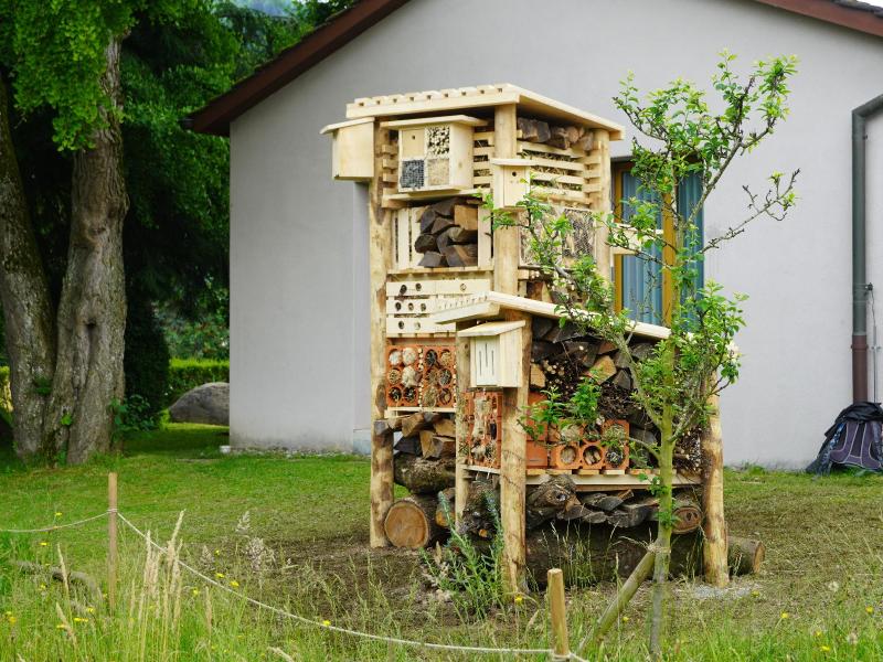 Lebensturm 2er Gruppe Johanneskirche Kriens Juni 2024 