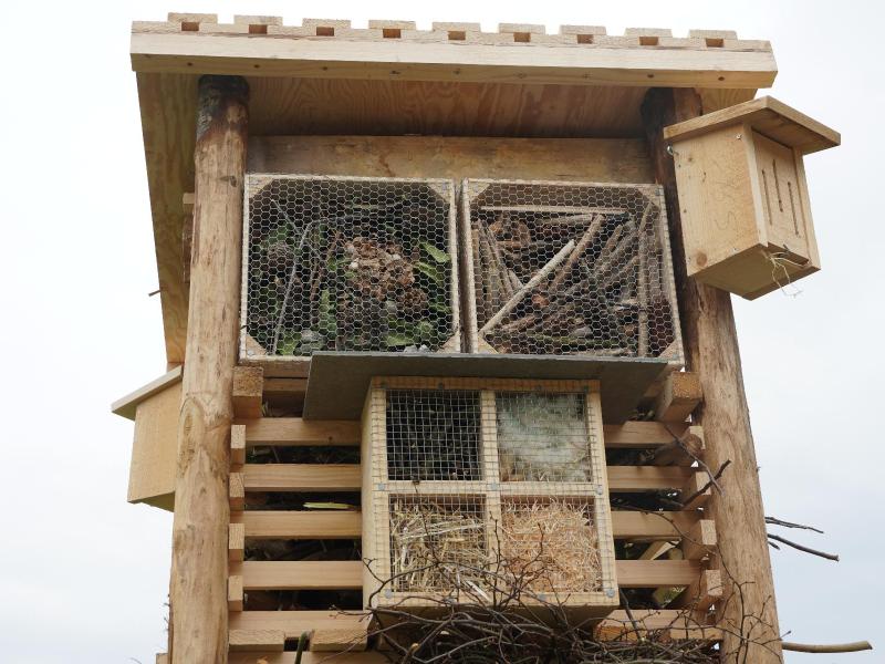 Lebensturm Schule Ruswil Mai 2024
