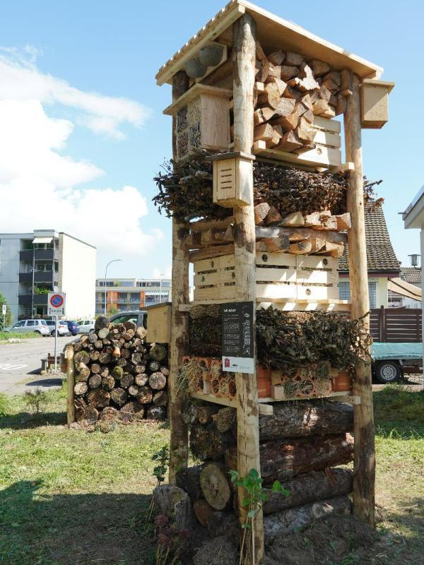 E_Impressionen Bilder 2021 (1).JPG