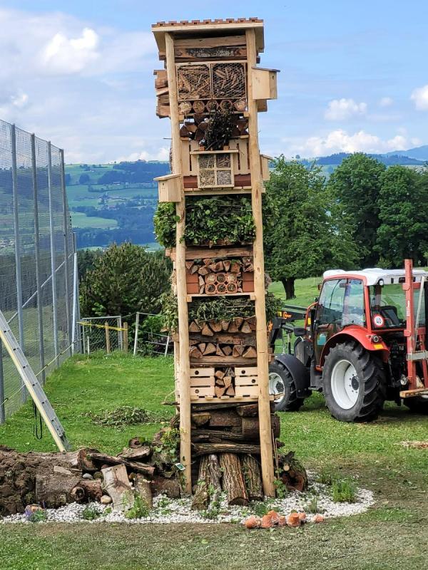 E_Impressionen Bilder 2022 (1).jpg