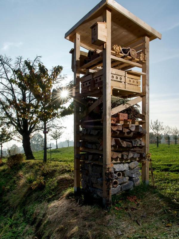 E_Impressionen Bilder 16-18 (1).jpg