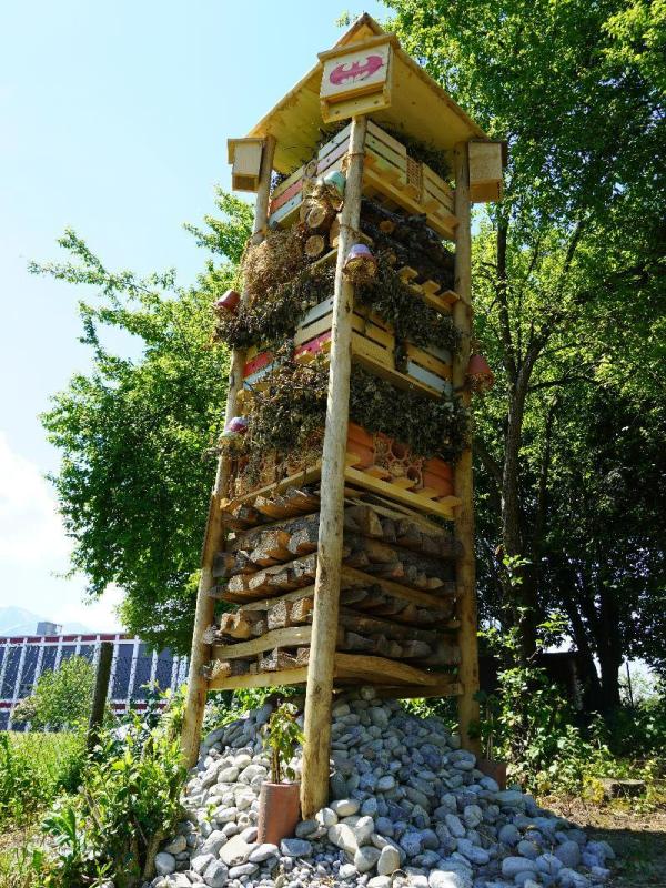 E_Impressionen Bilder 2019 (1).JPG